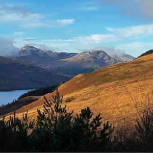 Meet your Posher, Catherine